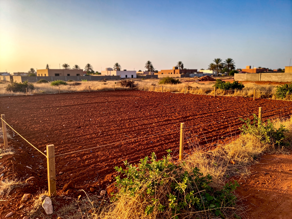 Terrain constructible 1000 m² — Mbao, Dakar
